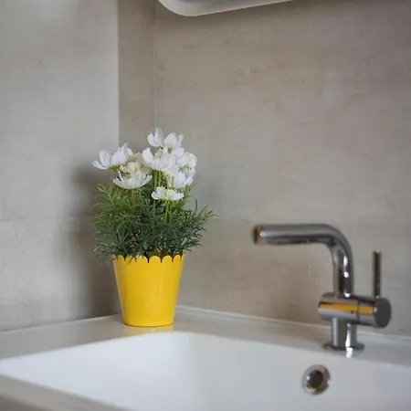 Dream In Arena 1 Center Free Parking Apartament