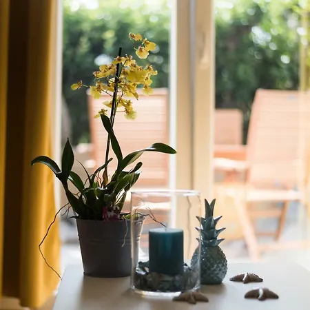 Dream In Arena 1 Center Free Parking Apartament *